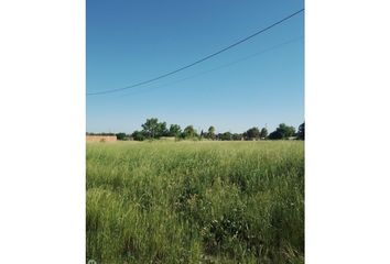 Terrenos en  Melchor Romero, Partido De La Plata