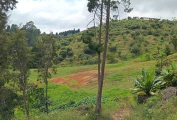 Casa en  Guarne, Antioquia