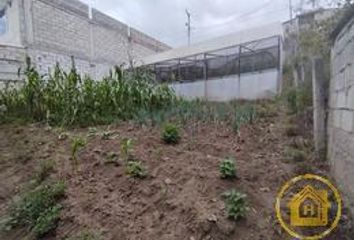 Casa en  Nayón, Quito