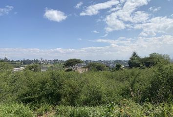 Terreno Comercial en  Tumbaco, Quito