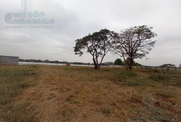 Terreno Comercial en  Roca, Guayaquil