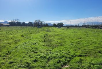 Parcela en  San Fernando, Colchagua