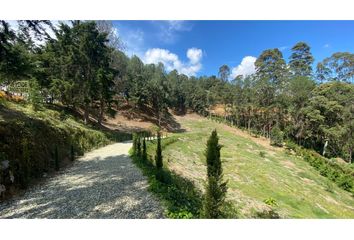 Lote de Terreno en  Rionegro Antioquía