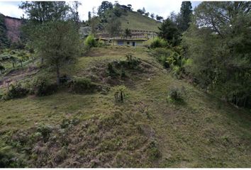 Lote de Terreno en  El Peñol, Antioquia