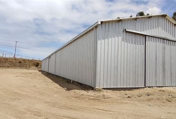 Bodega en  San Antonio, San Antonio