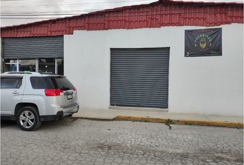 Local comercial en  Los Viñedos, Zempoala