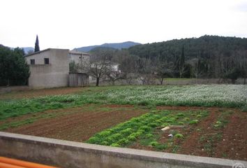 Terreno en  Serinya, Girona Provincia