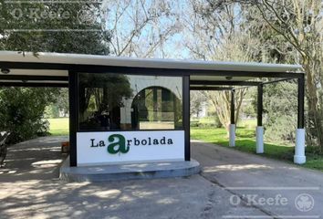 Terrenos en  Arturo Seguí, Partido De La Plata