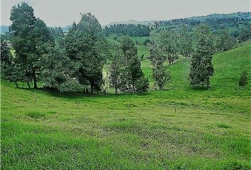 Lote de Terreno en  Bello, Antioquia