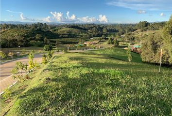 Lote de Terreno en  Rionegro Antioquía