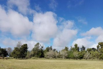 Terrenos en  Verónica, Punta Indio