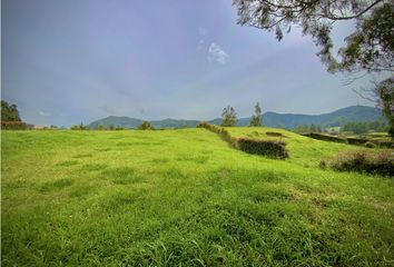 Lote de Terreno en  El Carmen De Viboral, Antioquia