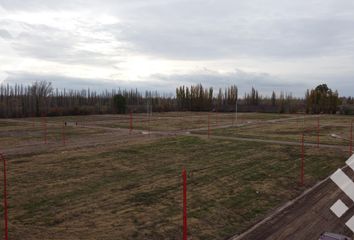 Terrenos en  Campo Grande, Río Negro