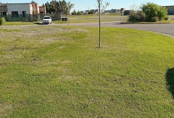 Terrenos en  Zelaya, Partido Del Pilar