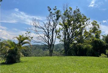 Lote de Terreno en  Castropol, Medellín