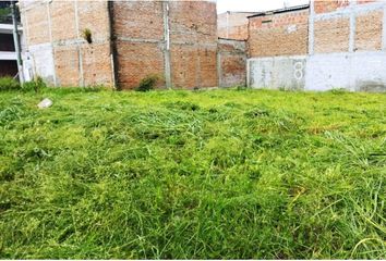 Lote de Terreno en  San Pedro, Palmira