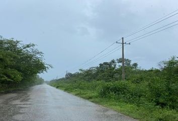 Lote de Terreno en  Carretera Kinchil - Tamchén, San Antonio Tamchén, Tamchén, Kinchil, Yucatán, 97362, Mex