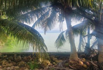 Lote de Terreno en  Mahahual, Othón P. Blanco