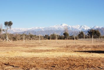 Terrenos en  Luján De Cuyo, Mendoza