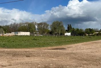 Terrenos en  Saavedra, Saavedra, Partido De Saavedra