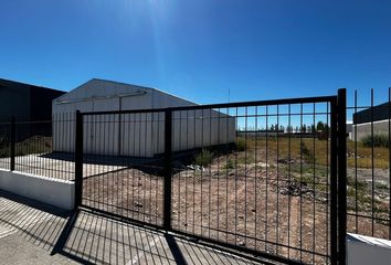 Galpónes/Bodegas en  Cipolletti, Río Negro