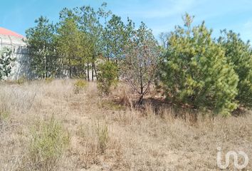 Lote de Terreno en  Calle Del Tlacuache, Santa Rosa De Lima, Guanajuato, 36220, Mex