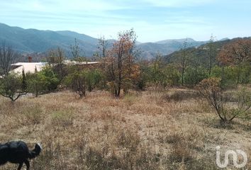 Lote de Terreno en  Calle Del Tlacuache, Santa Rosa De Lima, Guanajuato, 36220, Mex