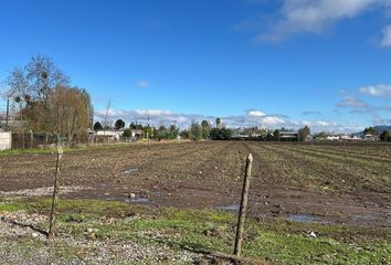 Parcela en  Nancagua, Colchagua