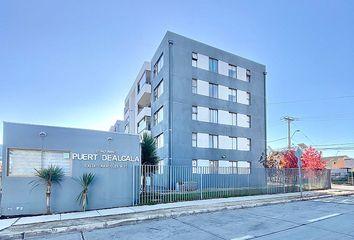 Departamento en  Quillota, Quillota