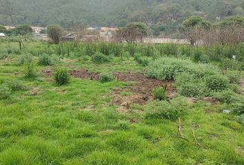 Lote de Terreno en  Avenida El Campanario Segunda Sección, San Cristóbal De Las Casas, Chiapas, 29292, Mex