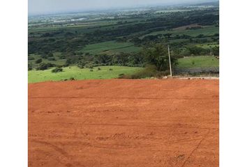 Lote de Terreno en  Mirriñao, Palmira