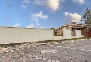 Casa en  Calle Barranca 213, San Pedro Garza García, Nuevo León, 66270, Mex