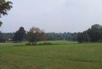 Lote de Terreno en  Santiago 1a. Sección, Zumpango