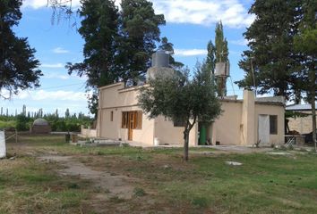 Quinta/Finca en  General Alvear, Mendoza