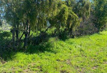 Parcela en  San Carlos, Ñuble (región)