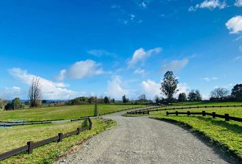 Parcela en  Río Negro, Osorno