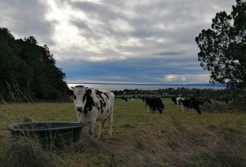 Parcela en  Puerto Varas, Llanquihue