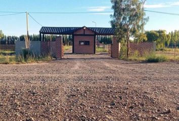 Terrenos en  Cervantes, Río Negro