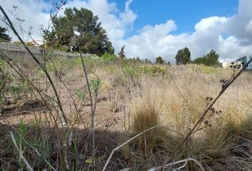 Terreno en  Aeropuerto De Gran Canaria, Palmas (las)