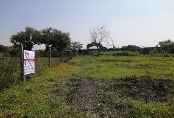 Lote de Terreno en  Fraccionamiento Amates De Oaxtepec, Yautepec De Zaragoza