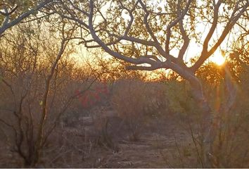 Lote de Terreno en  San Pedro México, La Paz