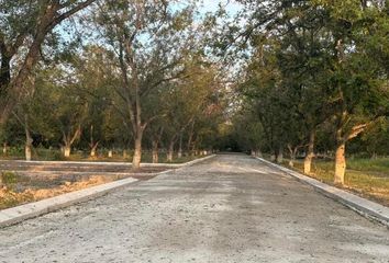 Lote de Terreno en  Las Trojes, Torreón