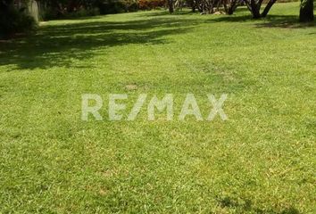 Lote de Terreno en  Animas Trujano, Oaxaca