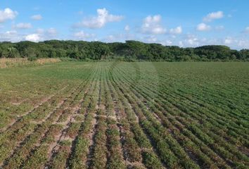 Lote de Terreno en  Santa María Tonameca, Oaxaca