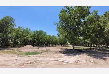 Terreno en venta en La Joya, Arteaga, Coahuila de Zaragoza