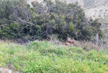 Terreno en  Torrent, Valencia/valència Provincia