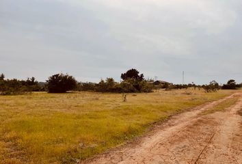 Parcela en  Algarrobo, San Antonio