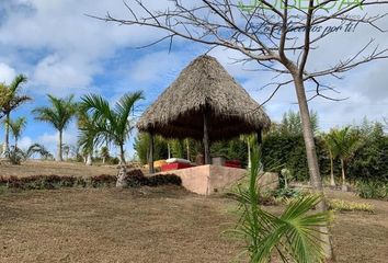 Lote de Terreno en  Calle Rafael Murillo Camacho 33, El Lencero, Emiliano Zapata, Veracruz De Ignacio De La Llave, 91640, Mex