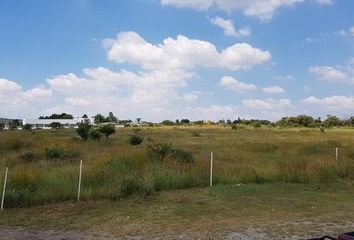 Lote de Terreno en  Camino Al Vado, El Vado, Tonalá, Jalisco, 45429, Mex