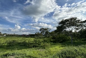 Lote de Terreno en  Calle Hidalgo, San Juan Bautista Guelache, Oaxaca, 68234, Mex